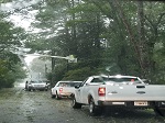 Storm damage fallen trees